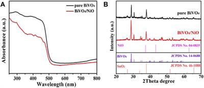 Fabrication of Cocatalyst NiO-Modified BiVO4 Composites for Enhanced Photoelectrochemical Performances